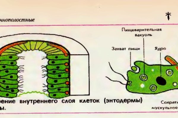 Кракен сайт ссылка kr2web in