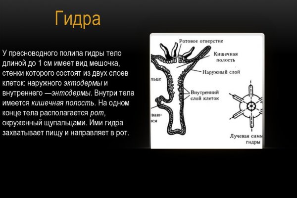 Кракен актуальная ссылка тор